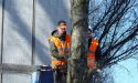 image_10450