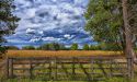 image_10483