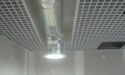 image_10681