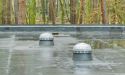 image_10684