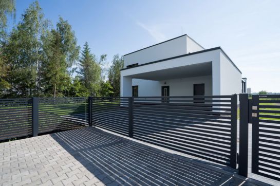 image_11051