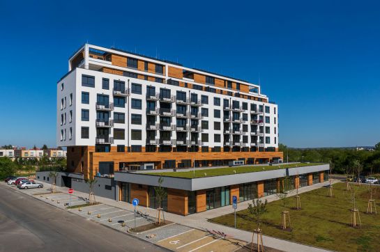 image_11385