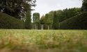 image_11936