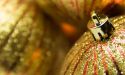 image_12194