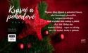 image_14558