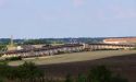 image_8174