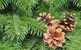 image_14616